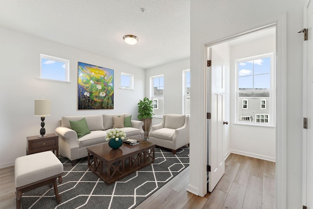 2700 Kepler Ave NE, Saint Michael, MN 55376 - living room with wood finished floors
