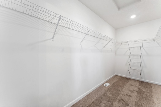 2700 Kepler Ave NE, Saint Michael, MN 55376 - spacious closet with carpet and attic access