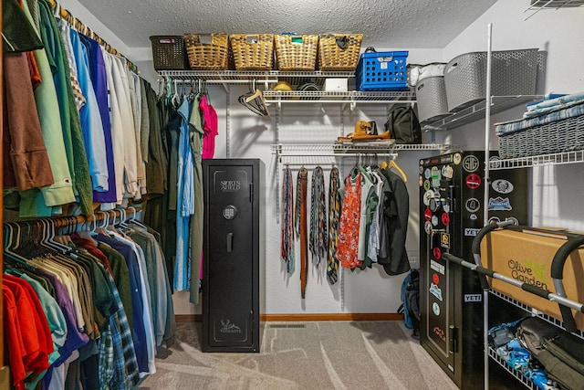 133 Uriah Ct, Mankato, MN 56001 - walk in closet with carpet flooring