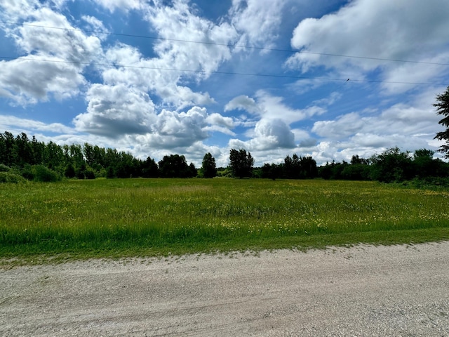 TBD 580th Ave, Warroad, MN 56763 - photo 3