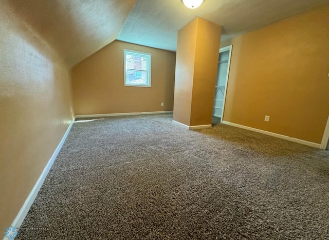 319 13th St N, Moorhead, MN 56560 - bonus room with carpet, a textured ceiling, and lofted ceiling