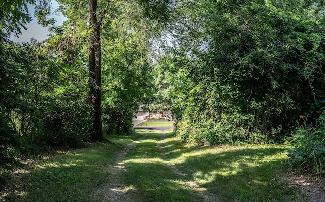 311 Hester St W, Dundas, MN 55019 - photo 43