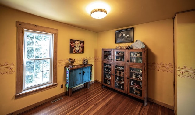 311 Hester St W, Dundas, MN 55019 - photo 27