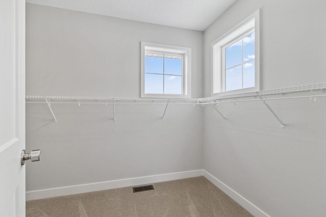 17967 Hawksbill Dr, Lakeville, MN 55044 - photo 20