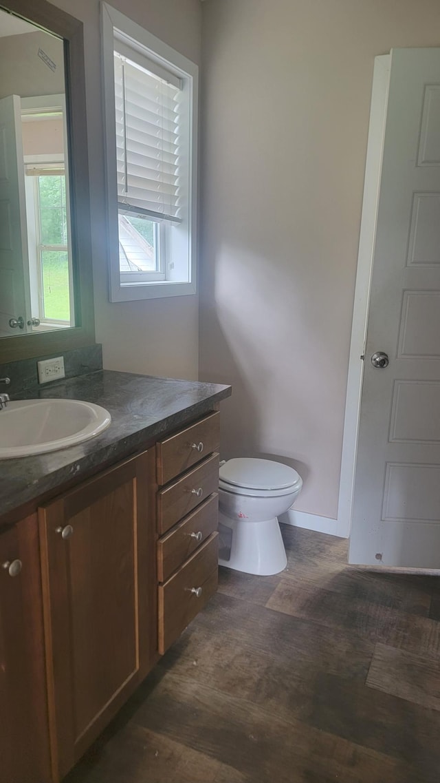 4247 Crow Wing Cir SW, Sylvan Twp, MN 56473 - bathroom featuring vanity and wood finished floors