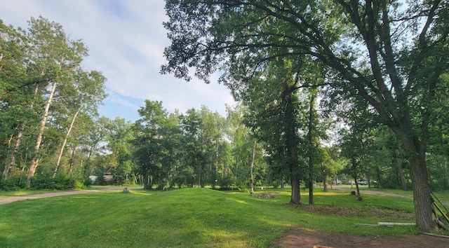 4247 Crow Wing Cir SW, Sylvan Twp, MN 56473 - view of home's community with a yard
