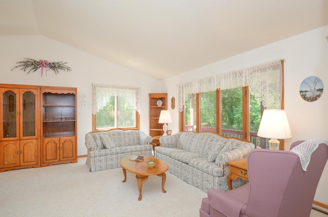 17133 Swallow St NW, Andover, MN 55304 - photo 6