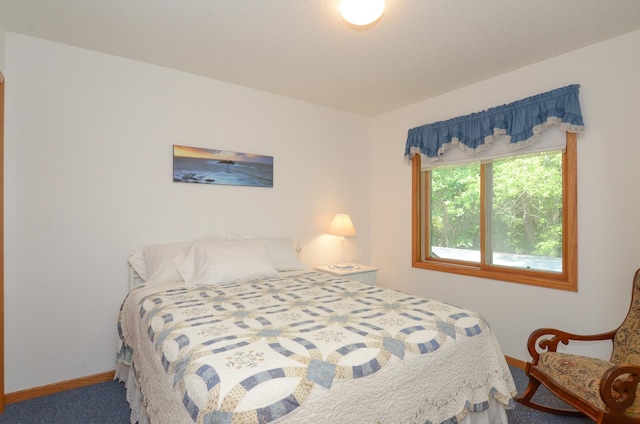 17133 Swallow St NW, Andover, MN 55304 - photo 9