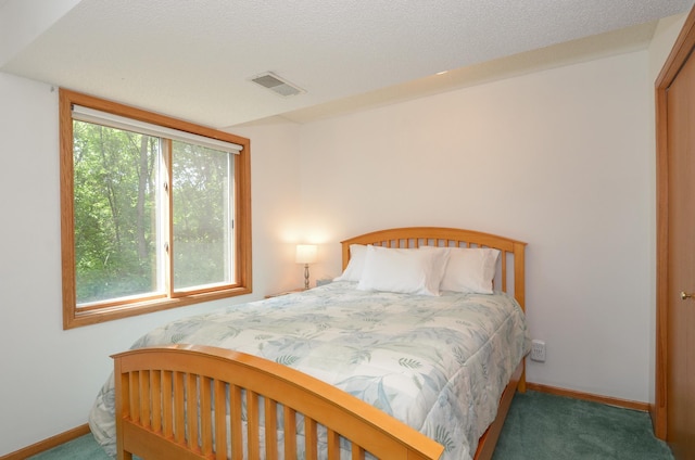17133 Swallow St NW, Andover, MN 55304 - photo 11