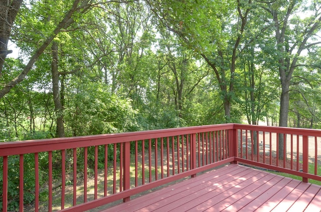17133 Swallow St NW, Andover, MN 55304 - photo 18