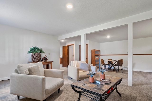 5155 Red Fox Ln SE, Alexandria, MN 56308 - photo 33