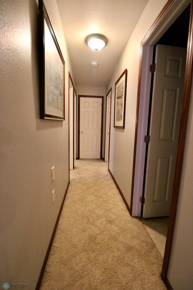 1307 Libra Ln, Fargo, ND 58104 - corridor featuring light colored carpet and baseboards