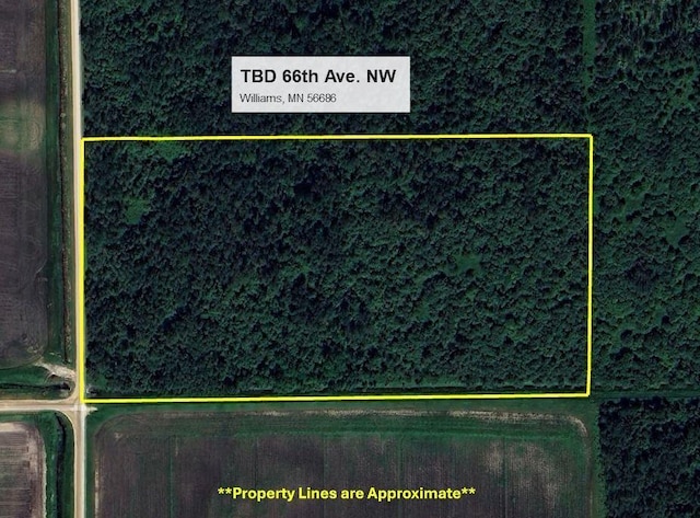 TBD 66th Ave NW, Williams, MN 56686