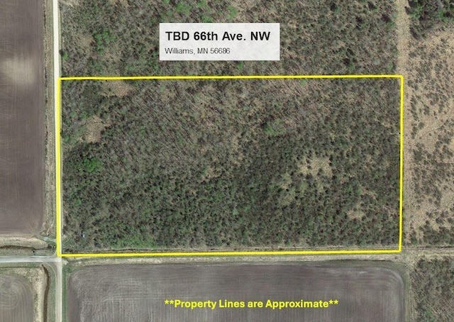 TBD 66th Ave NW, Williams, MN 56686