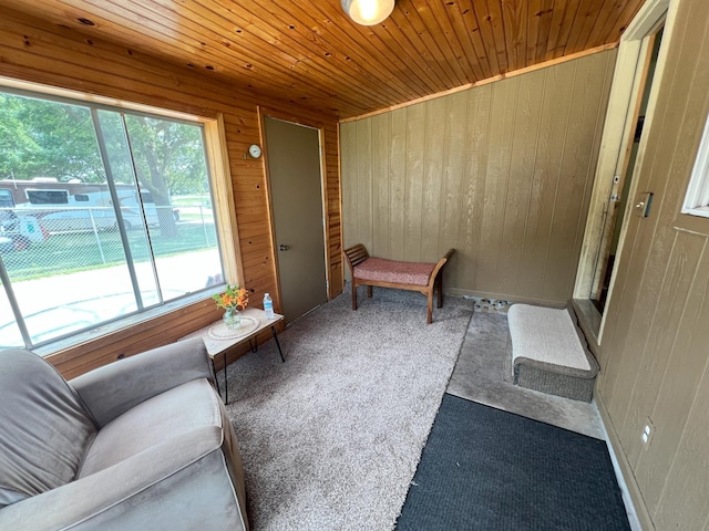 208 Benton St W, Cologne, MN 55322 - sitting room with wooden walls, wood ceiling, and carpet floors