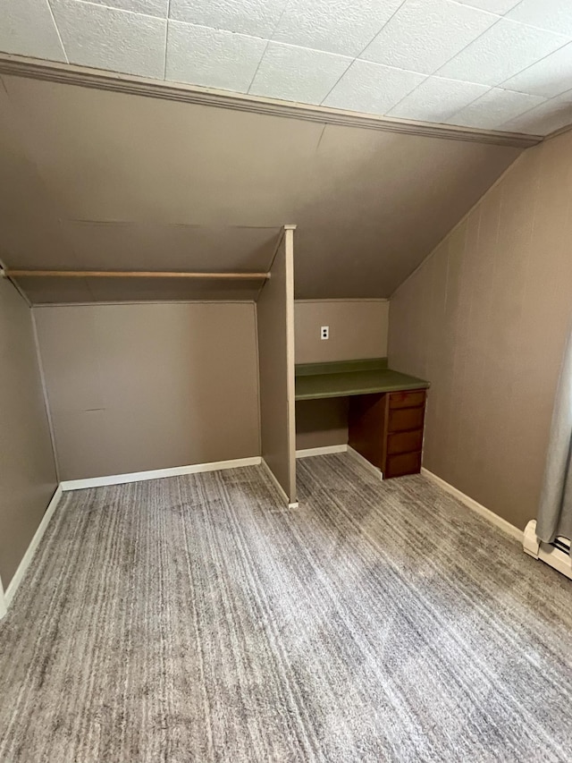 208 Benton St W, Cologne, MN 55322 - bonus room with lofted ceiling, carpet floors, and a baseboard heating unit