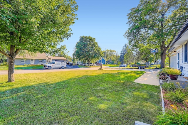 457 108th Ln NW, Coon Rapids, MN 55448 - view of grassy yard