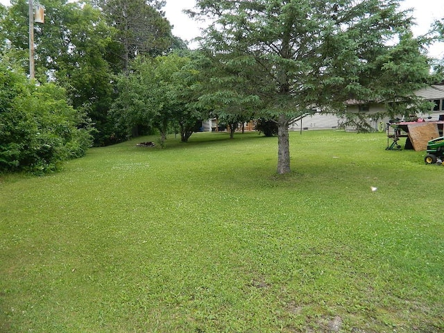 817 Mcpherson St, Littlefork, MN 56653 - photo 9