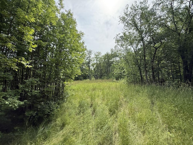 42810 County Highway 26, Rochert, MN 56578 - photo 62
