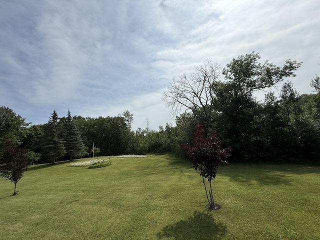 42810 County Highway 26, Rochert, MN 56578 - photo 66