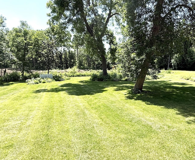 300 Linden Ave E, Kimball, MN 55353 - photo 43