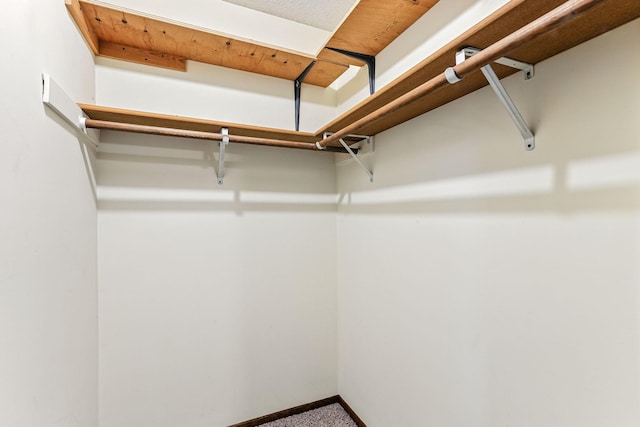 453 Van Dyke St, Saint Paul, MN 55119 - walk in closet featuring carpet flooring