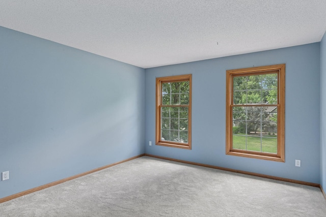 4116 River Run, Savage, MN 55378 - empty room with carpet and a textured ceiling