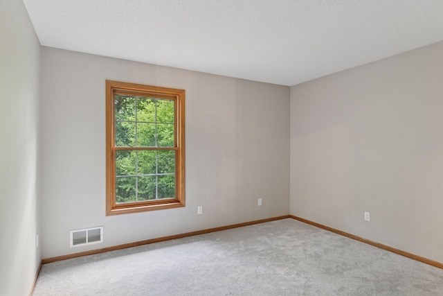 4116 River Run, Savage, MN 55378 - empty room with carpet flooring and baseboards