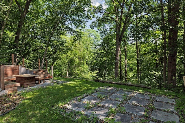 4116 River Run, Savage, MN 55378 - view of grassy yard featuring a patio area and a forest view