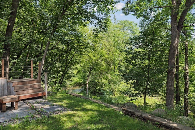 4116 River Run, Savage, MN 55378 - view of yard featuring a view of trees