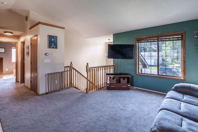 2533 42nd Ave S, Saint Cloud, MN 56301 - photo 6