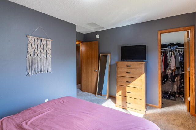 2533 42nd Ave S, Saint Cloud, MN 56301 - photo 11