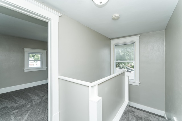 101 6th St NW, Rochester, MN 55901 - photo 16