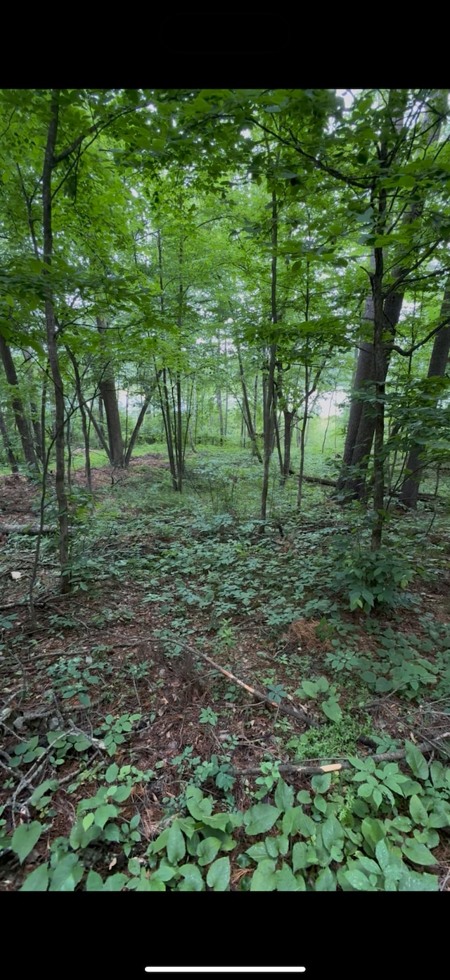 TBD Fawn Lake Rd, Nisswa, MN 56468 - photo 1