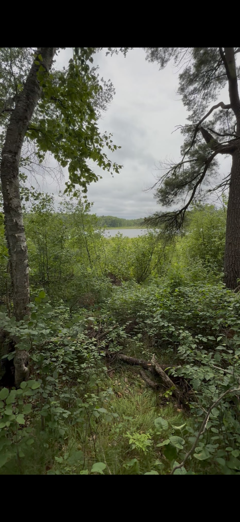 TBD Fawn Lake Rd, Nisswa, MN 56468 - photo 3