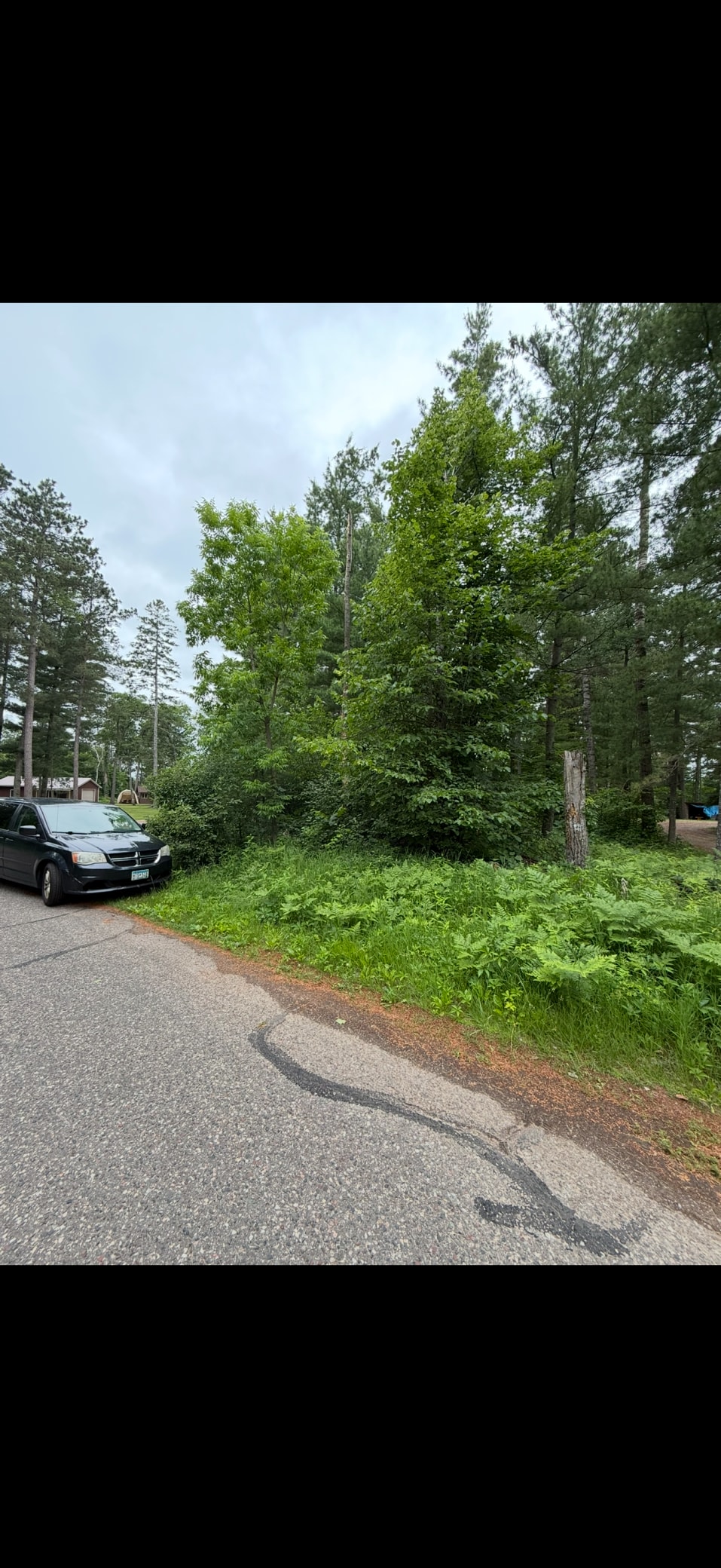 TBD Fawn Lake Rd, Nisswa, MN 56468 - photo 2