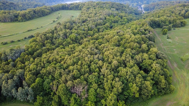 TBD Doug Blegen Dr, Spring Valley, WI 54767