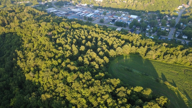TBD Doug Blegen Dr, Spring Valley, WI 54767