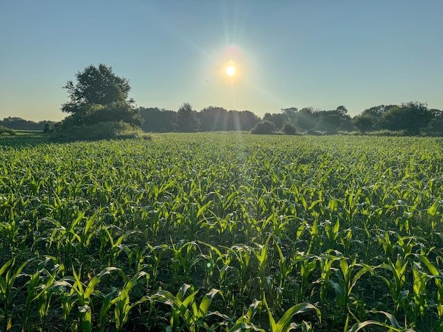 TBD Doug Blegen Dr, Spring Valley, WI 54767