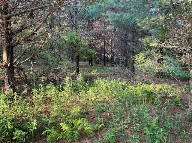 TBD Doug Blegen Dr, Spring Valley, WI 54767