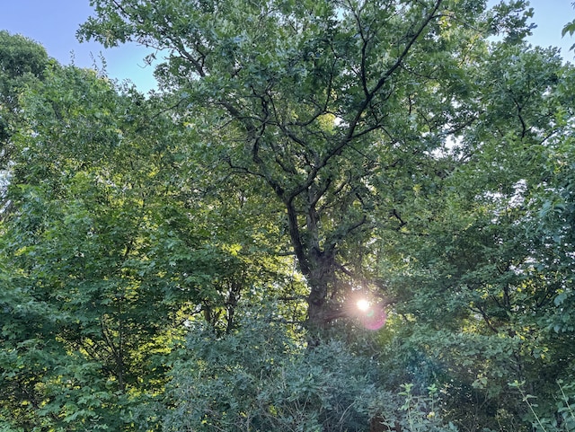 TBD Doug Blegen Dr, Spring Valley, WI 54767