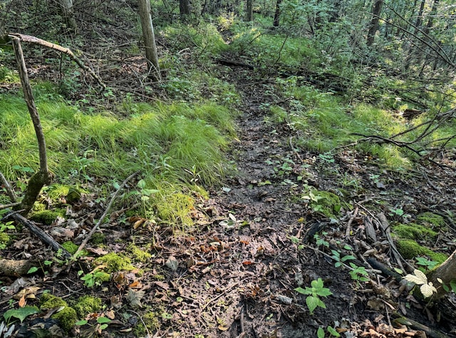 TBD Doug Blegen Dr, Spring Valley, WI 54767