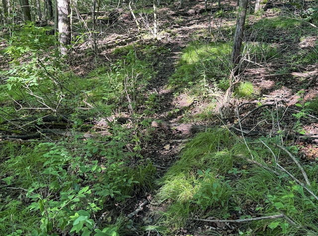 TBD Doug Blegen Dr, Spring Valley, WI 54767