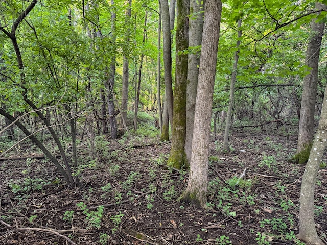 TBD Doug Blegen Dr, Spring Valley, WI 54767