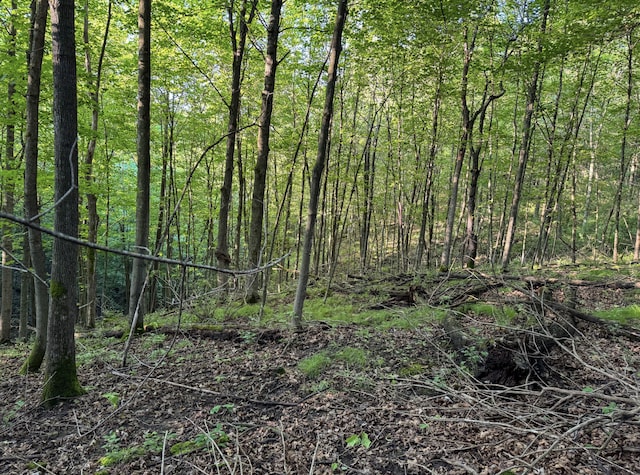 TBD Doug Blegen Dr, Spring Valley, WI 54767