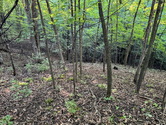 TBD Doug Blegen Dr, Spring Valley, WI 54767
