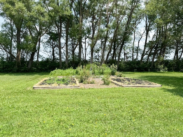 35448 200th St, Brewster, MN 56119 - view of green lawn with a garden