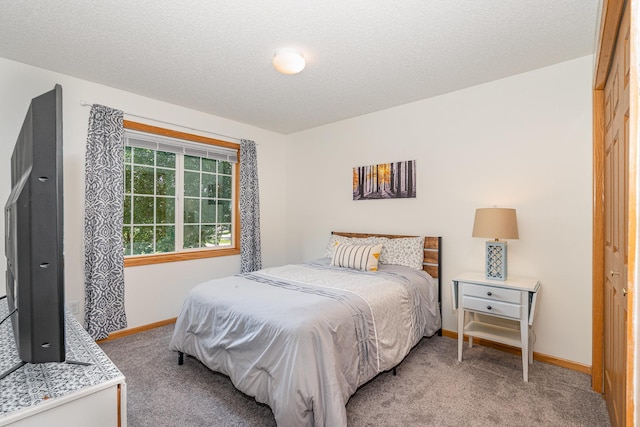5244 207th St N, Forest Lake, MN 55025 - photo 17