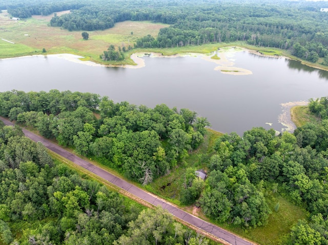 N9842 Gardner Lake Rd, Gull Lake Twp, WI 54875 - photo 38