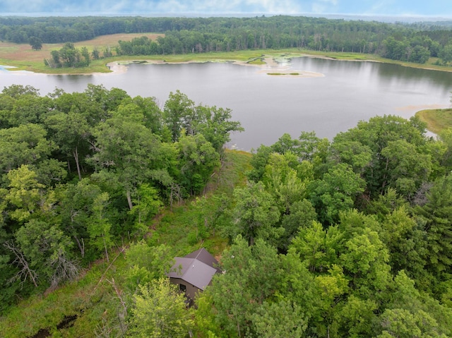 N9842 Gardner Lake Rd, Gull Lake Twp, WI 54875 - photo 39
